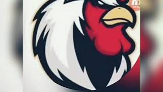 Vídeo Galo Matando No Free Fire