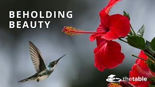 Beholding Beauty - Brian Chan