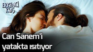 Erkenci Kuş Can Yatakta Sanemi Isıtıyor