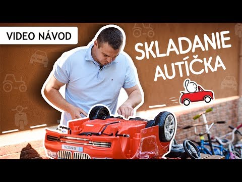 Video: Ako Dať Uši Hračkárskemu Teriérovi