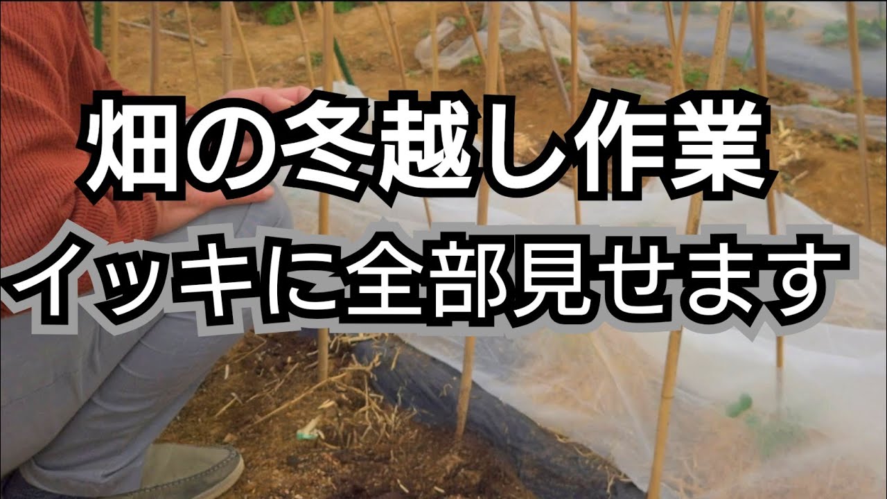 野菜の防寒対策、一気に全部見せ！（寒起こし・トンネル栽培・防寒対策・秋じゃが試し掘り）