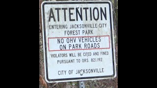 Jacksonville City Forest Park Trail Hike