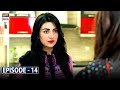 Watch Mumkin Episode 14 | Sarah Khan & Junaid Khan - ARY Digital Drama Online In Hd