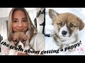 the TRUTH about getting a puppy 2020 | what I learned from my corgi puppy