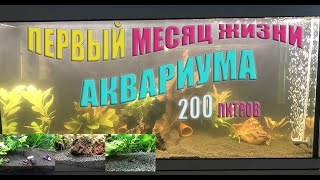 :     200 