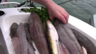 The Australian seafood Episode 3