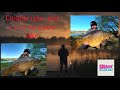 RED LETTER short session… CARP FISHING… explosive takes on a new carp venue
