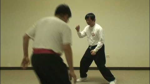 Response / Push Hands:  Exercise After Static Fajin (Fajing) Training in the Pre-Heaven Power Method