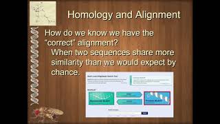Unit 1 4 3 Multiple Sequence Alignment