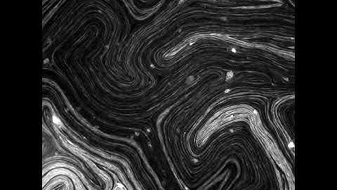 Active nematic strokes