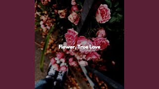 Modish Music for Higher Overtones