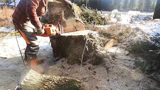 Husqvarna 1100  50 year old Rebuilt saw Takes off Huge Contorta Stump in Arctic conditions no 4Kthen