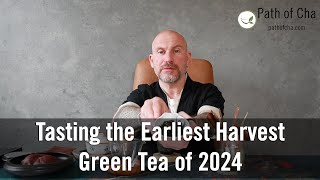 Tasting the Earliest Harvest Green Tea of 2024