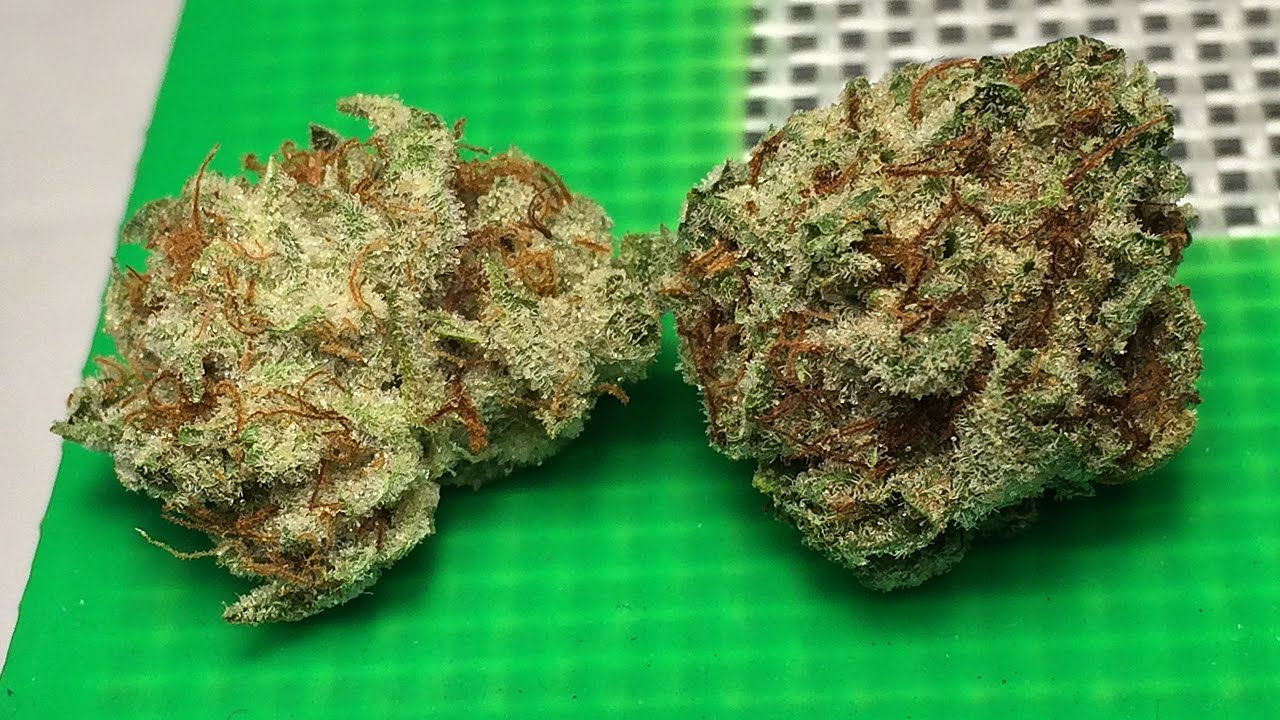 «Белый» — (Обзор штамма)