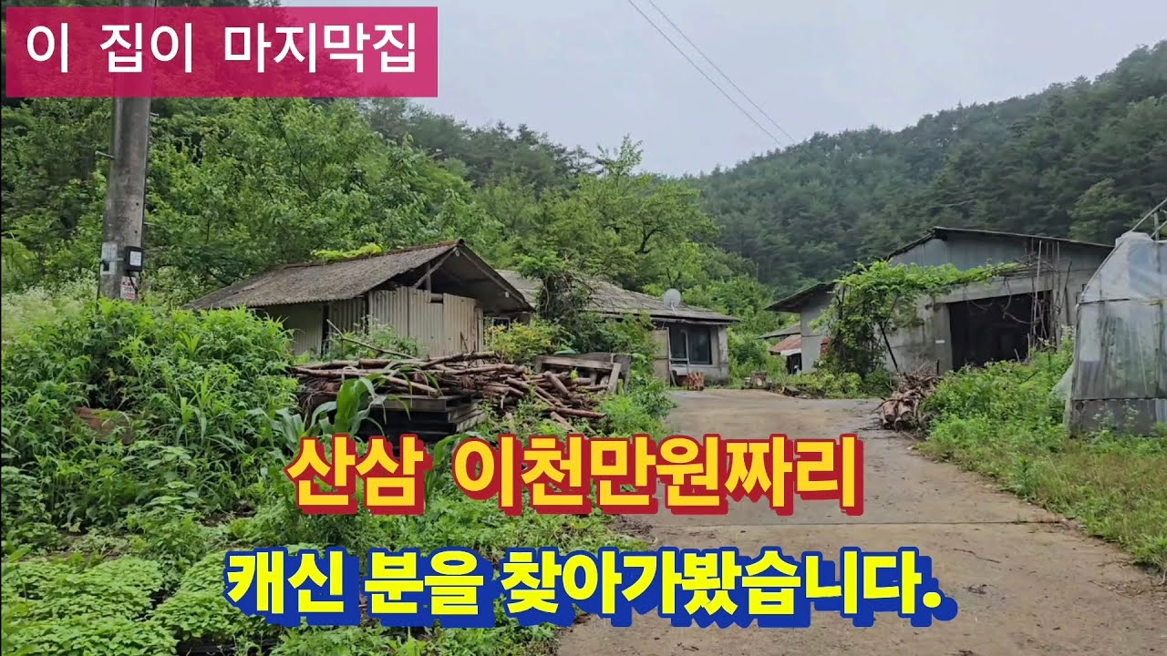 잘생긴 총각이 산에 혼자산다고해서 찾아가보니?