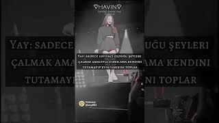 Burçlar Hırsız Olursa Part 2