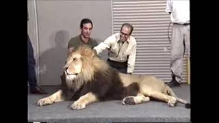 Opening To Aladdin 1993 Vhs Version A