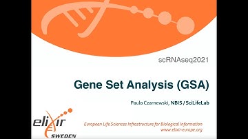 08 Gene Set Analysis — 02 Gene Sets