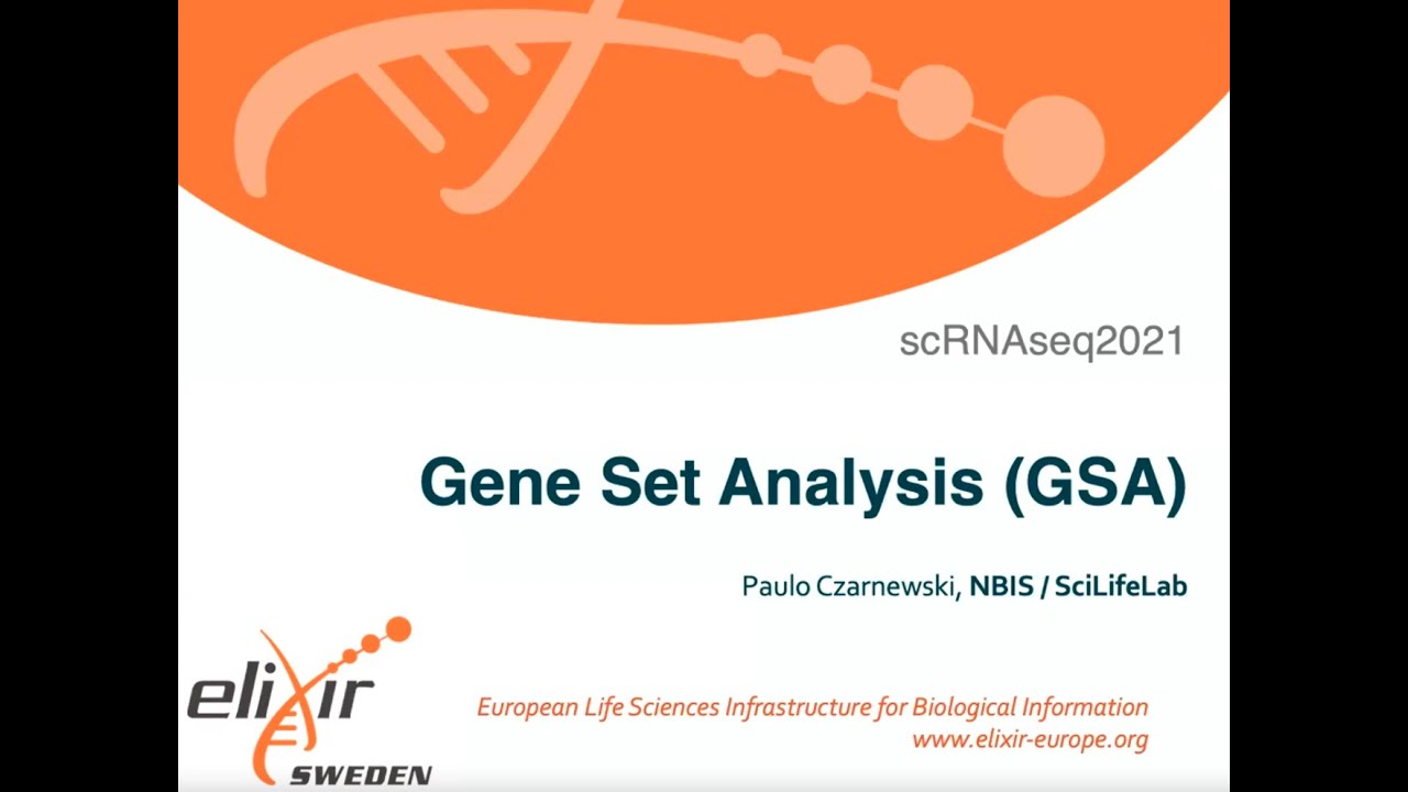 08 Gene Set Analysis — 02 Gene Sets