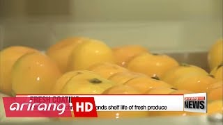 Nanocoating technology extends shelf life of fresh produce