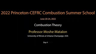 Combustion Theory, Matalon, Day 4