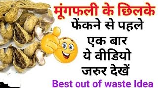 मूंगफली का छिलका फेंकने से पहले एक बार ये विडियो जरूर देखें | Peanut 🥜 Shell Craft Ideas