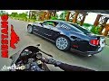 ЗАРУБА С МУСТАНГОМ | Ford Mustang 5.0 V8 GT vs Honda Fireblade