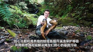 彻底解决娃娃鱼基因污染问题 这下提升溪流保护等级没异议了吧 by 爱野钓的小范 708 views 5 months ago 2 minutes, 58 seconds