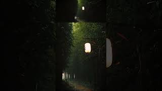 Bamboo PCG Trail Lumen Test UE 5.7