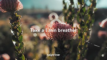 Short Self-Compassion Meditation | Breathwork & Healing | Insight Timer