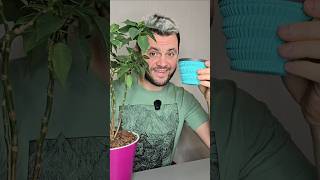 Как приготовить вкусный кофе в походе? Как заварить кофе на костре? Гейзерная кофеварка или турка?