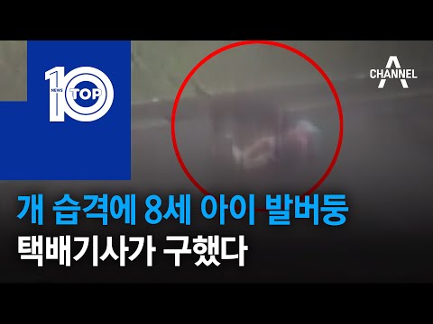 개 습격에 <strong>8세</strong> 아이 발버둥…택배기사가 구했다 | 뉴스TOP 10