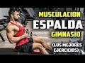 🔴 ESPALDA || Los MEJORES EJERCICIOS para FORTALECER LA ESPALDA EN EL GYM con Máquinas