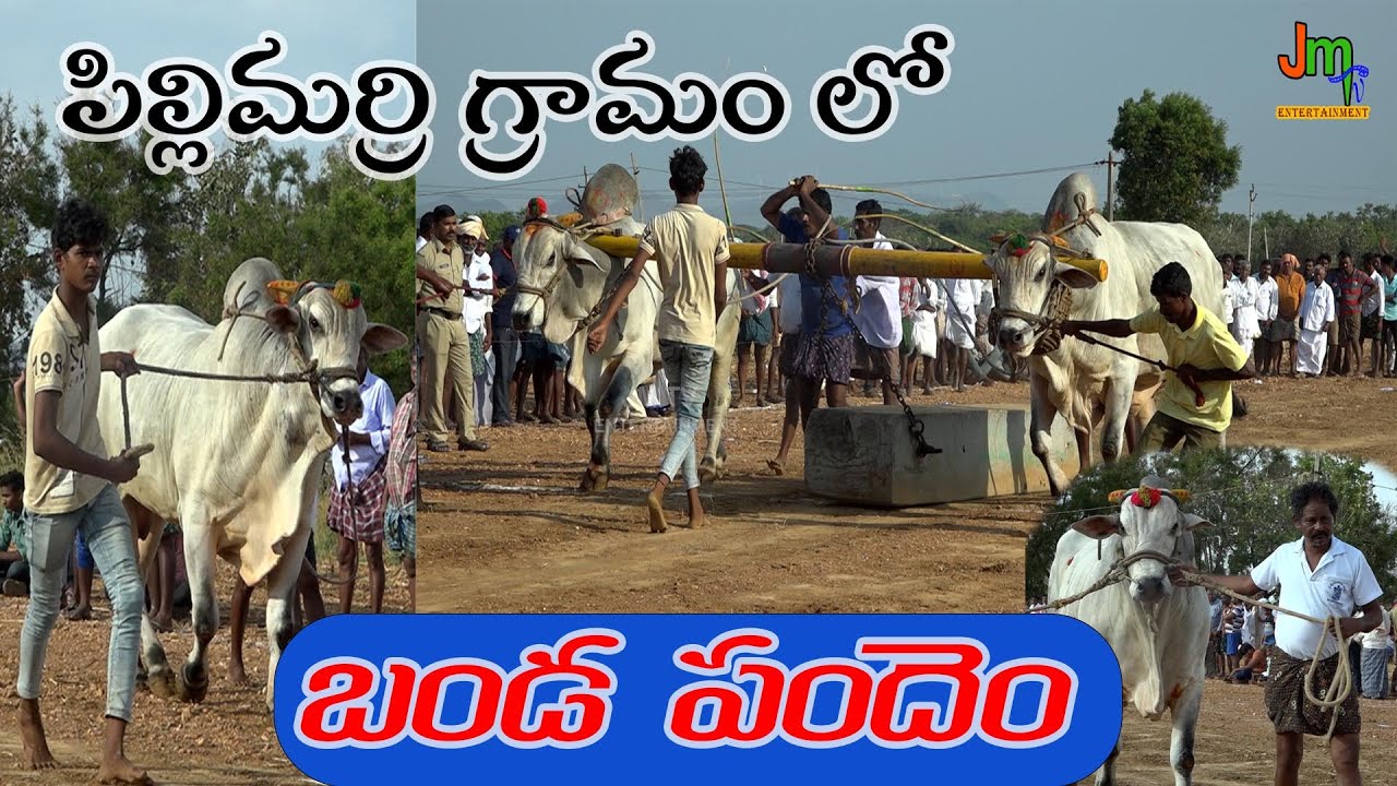 Pillamarri Gramamlo Banda Pandem ||JM TV