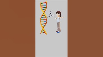 Unlocking DNA Secrets with CRISPR: A Quick Guide to Gene Editing!
