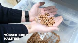 ONUR MAKİNE | BUTİK FINDIK KIRMA TESİSİ