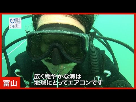 #7 「富山大学大学院　理工学研究部　張 勁さん」篇 CM 15秒｜海と日本PROJECT in 富山