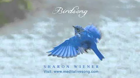 Sh'ma Yisrael /Amazing Grace - By Sharon Wiener