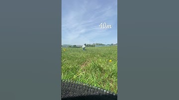 Thumbnail of 40 m #music #song #rugbyunion # rugby