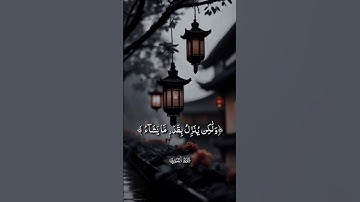 #أيات قرأن الكريم#أكتب شيء تؤجر علية #ارح_مسامعك_وقلبك_مع_تلاوه_القران💕🍃