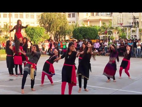 Pahari Nati at Baddi University  Himachali Folk Dance 2017