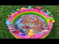 Cute fish in the pond, catfish, colombus fish, rainbow chicken, turtle, rabbit, guinea pig, goldfish