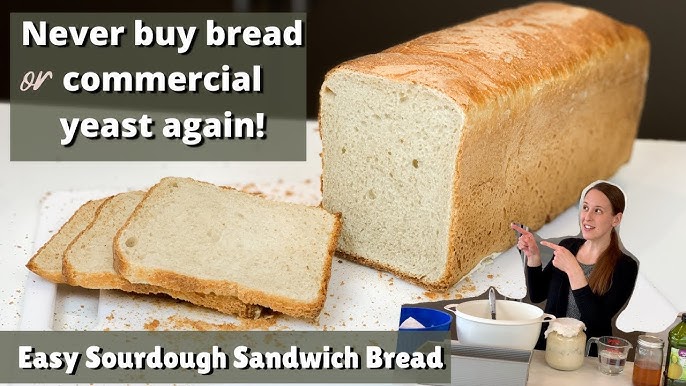 Sourdough Sandwich Bread - Baker Bettie