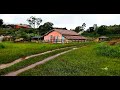 Lugar lindo Sitio Capão, Frutas verduras plantas vida na roça família trabalhando juntos