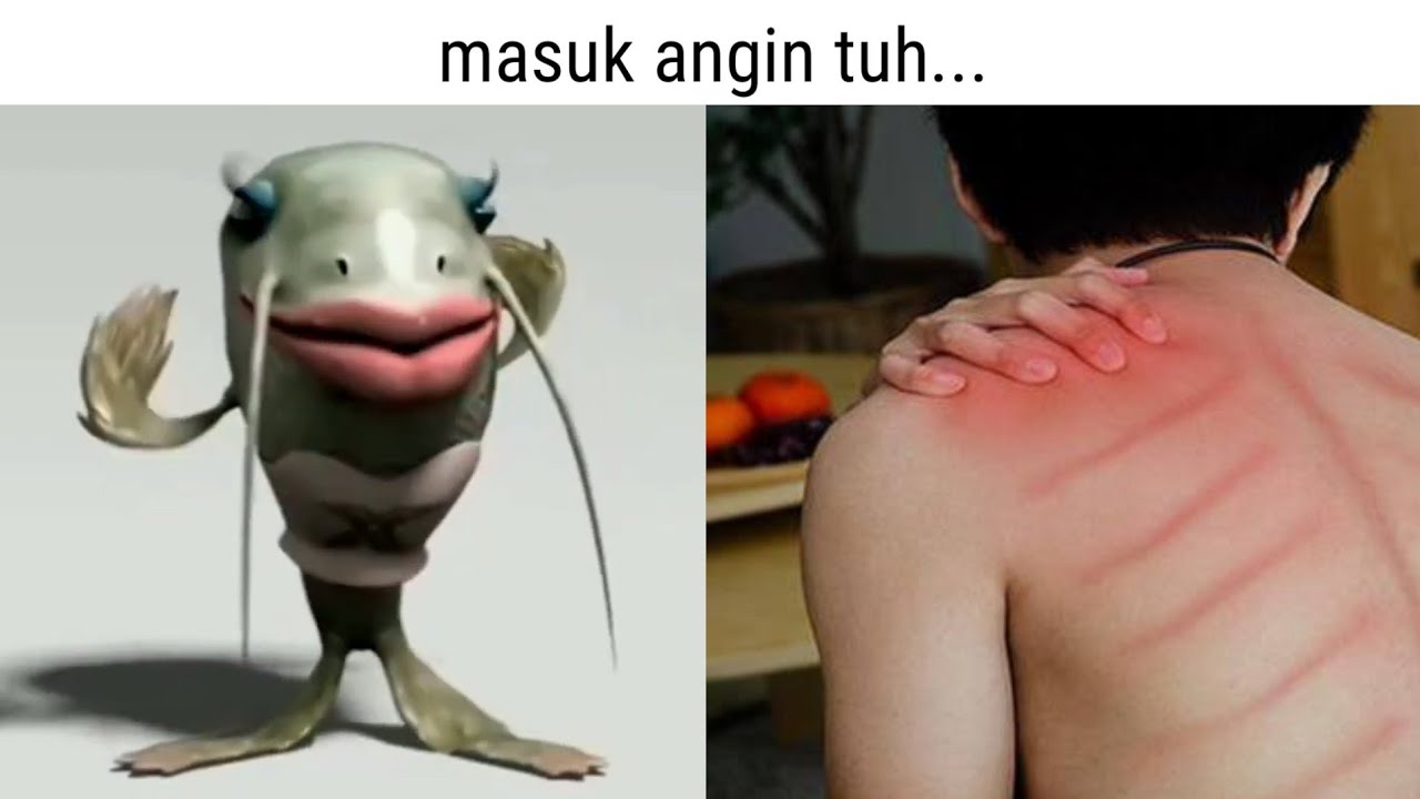 Meme Ikan Lele Bertanya - Youtube