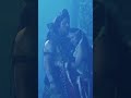 Mahashivratri #whatsapp video #beautiful #whatsapp #search humko humise shiv Parvati video