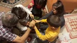 Kızlar Dünyası Yeşil Bir Dünya İstiyor