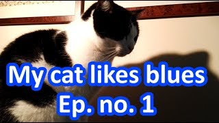 🐱 🎷 🎹   My Cat Likes Blues - Ep. no. 1   🐱 🎷 🎹