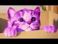 My Favorite Cat Little Kitten Preschool #133