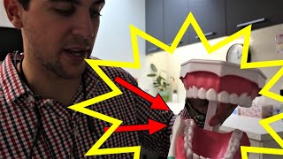 HOW TO BRUSH YOUR TEETH - Advice from a dentist. Everything you need to know 👌 by Dr Paul's Dental World 3,364 views 4 years ago 5 minutes